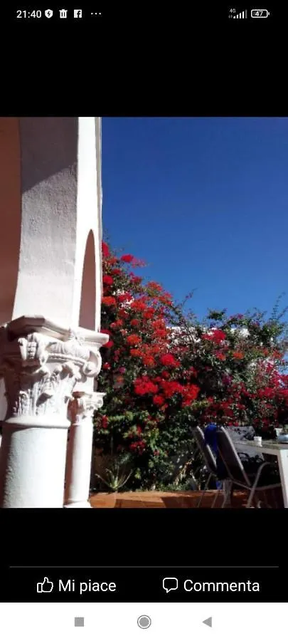 Ocean House Bed and Breakfast Granadilla De Abona Ισπανία