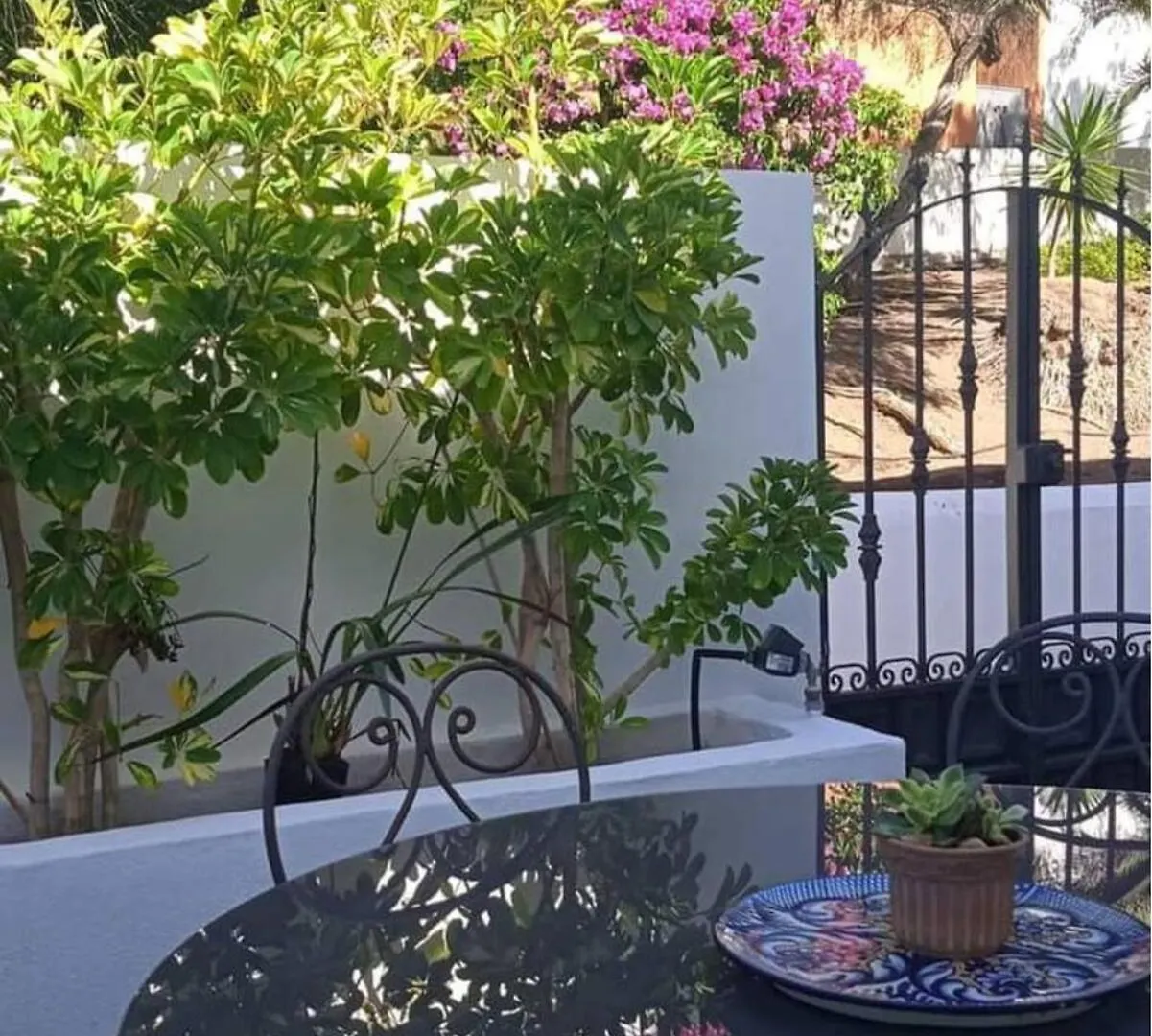 Ocean House Bed and Breakfast Granadilla De Abona